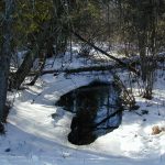 m_DSCN0059