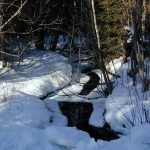 m_DSCN0061