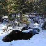 m_DSCN0062