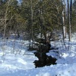 m_DSCN0063