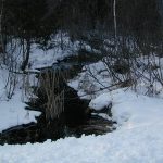 m_DSCN0067