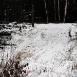 Near Twin Bridge, first grooming